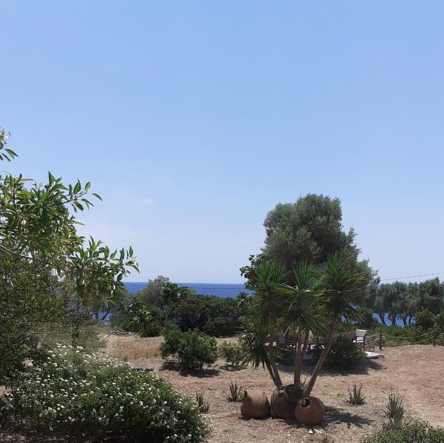 Masticha Village Apartments & Studios Monolia Exterior foto